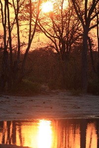 Zambezi calm