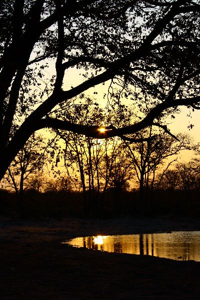 Mudumu National Park, Caprivi