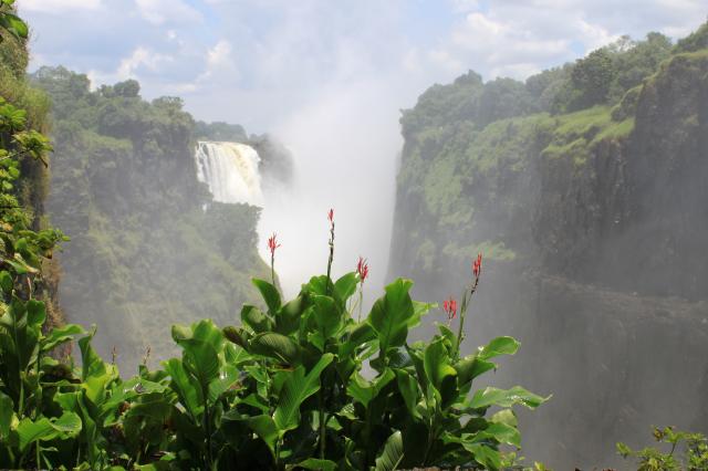 Victoria Falls Rainforest 