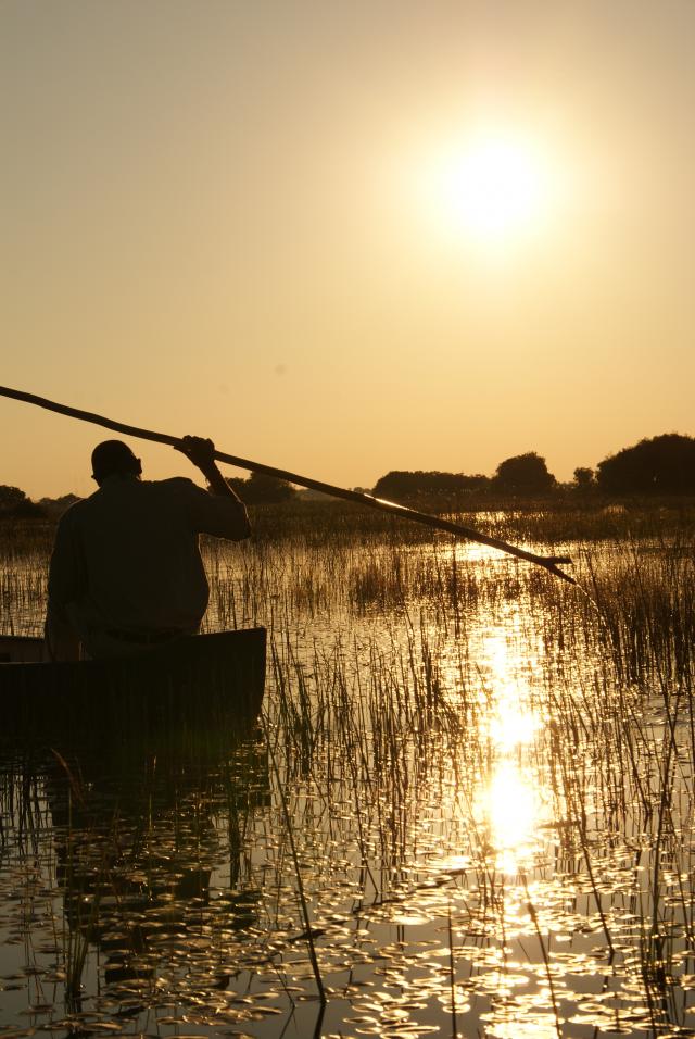 Sunset in the Delta
