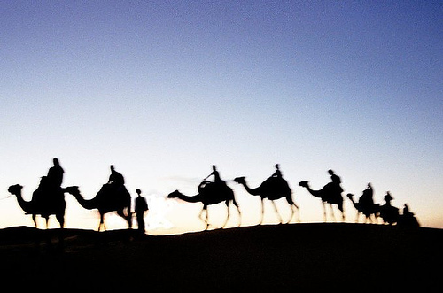 Camel Trekking In Morocco