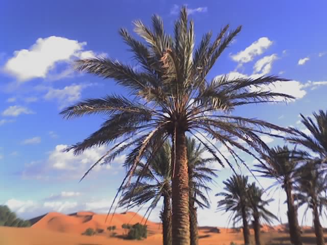 Morocco Desert