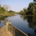 Mokoro on the Zambezi