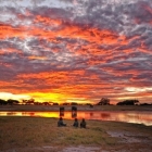 Elephants Drinking under a beautiful Sunset
