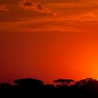 wonderful african sunset