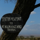 mt kilamajaro