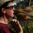 kissing a girraffe