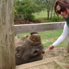 Rhino Sanctuary - Ol Pejeta, near Mount Kenya