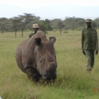 Rhino guards - Ol Pejeta