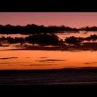 Tale of a Dugong - Marlin Lodge, Mozambique