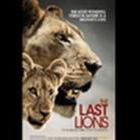The Last Lions