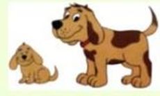 rover done over mobile dog grooming