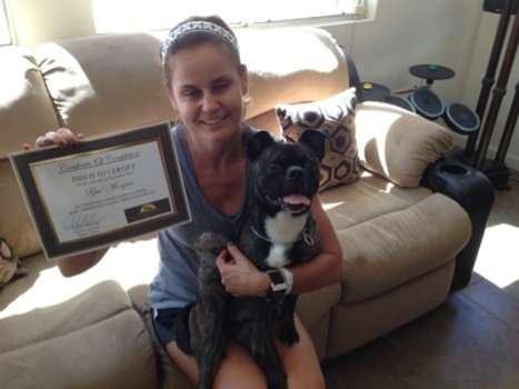 loyal k9 dog training