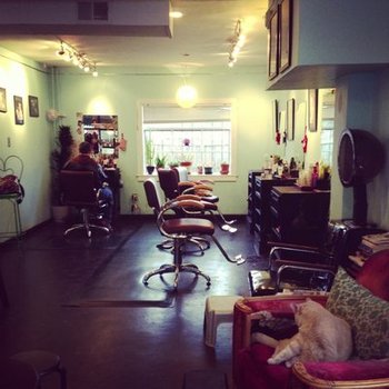 The Hive Salon Lexington Ky Haircut Book Online