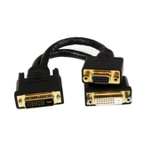 Cable Splitter DVI-I Macho a DVI-D y VGA Hembra StarTech, Largo 20cm, Para Terminales Wyse