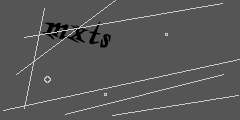Visual code to verify your entry