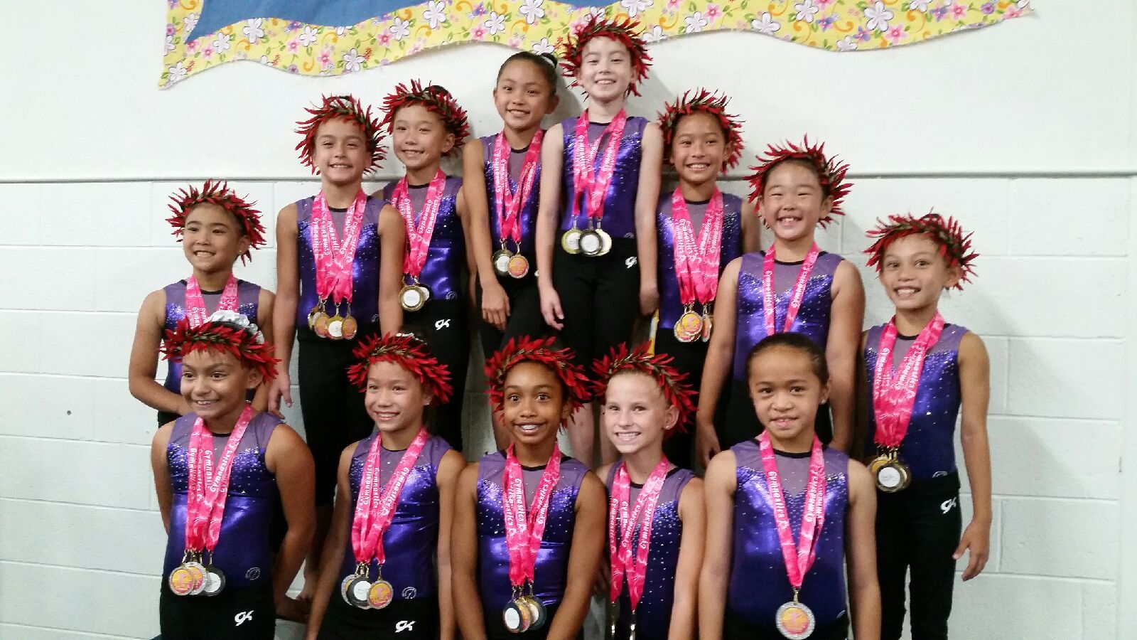 Island Tumblers Gymnastics Programs