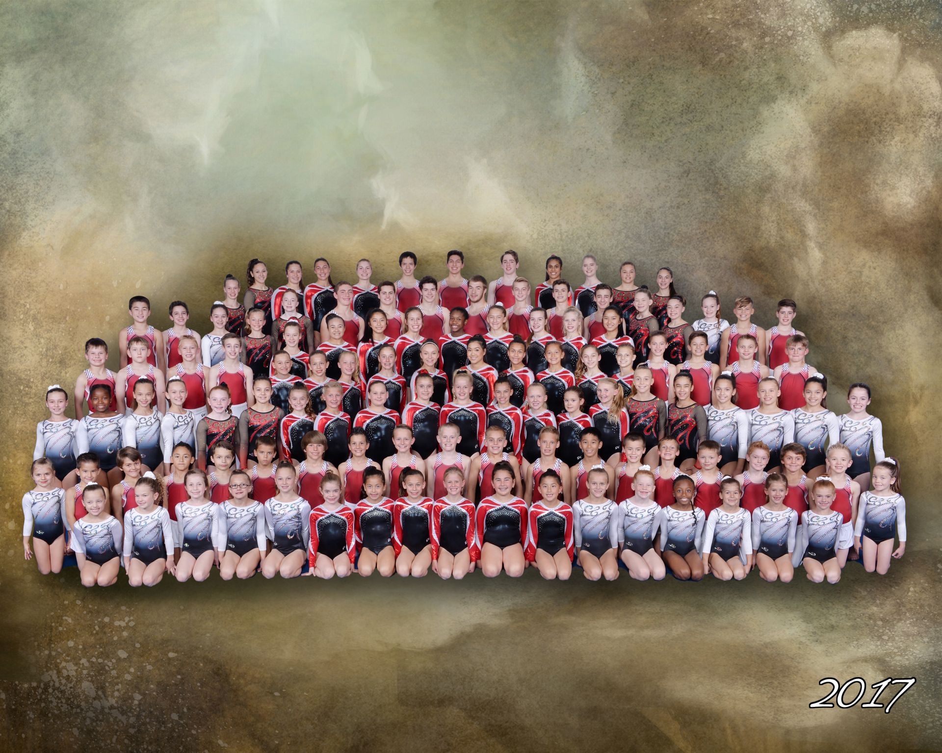 Eagle Gymnastics Academy Team Program