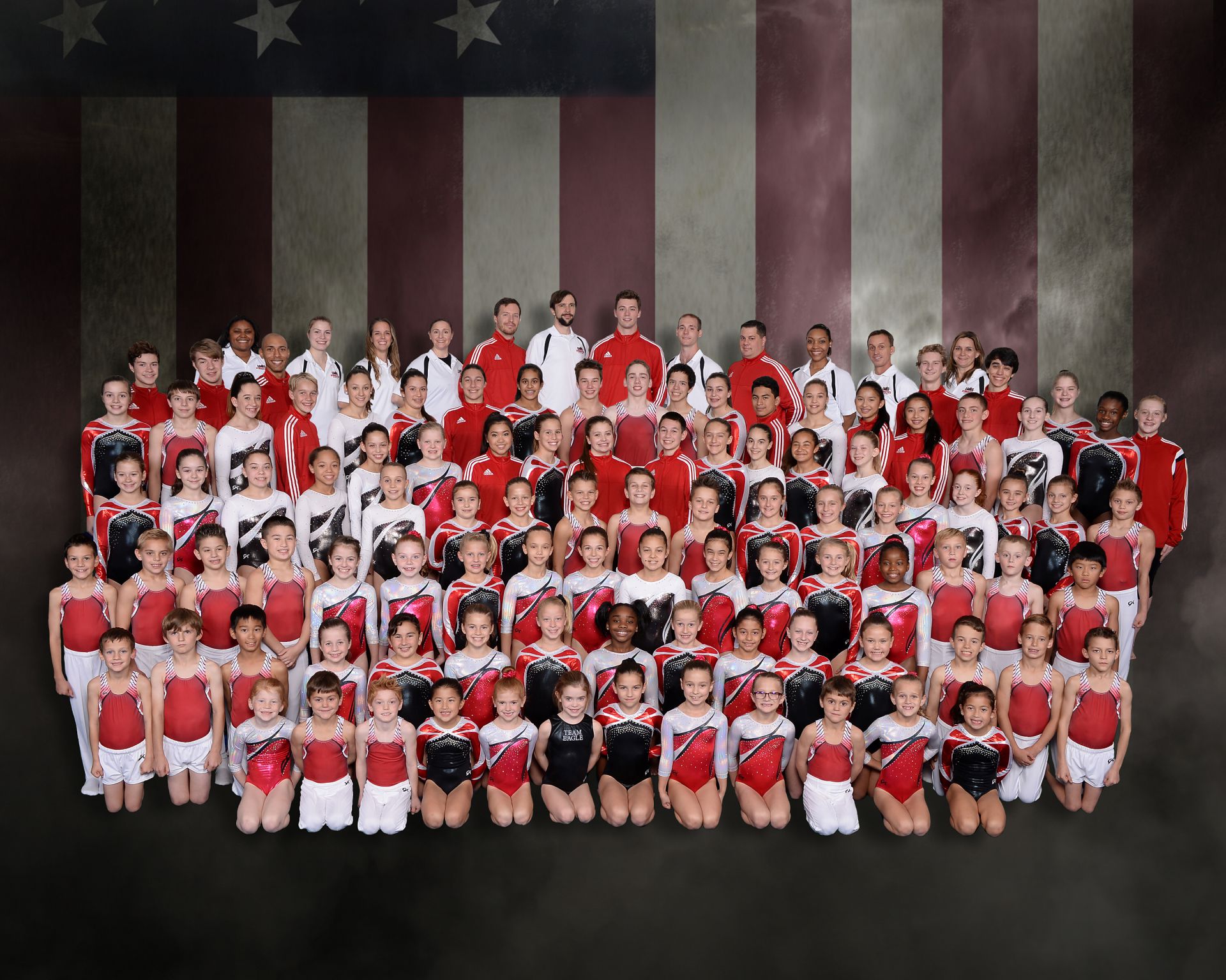 Eagle Gymnastics Academy Team Program