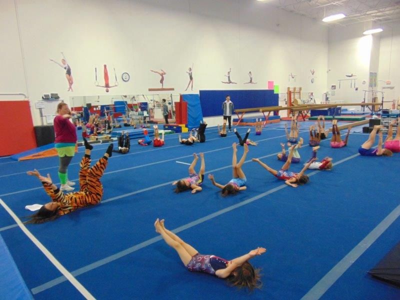 Eagle Gymnastics Academy Photos