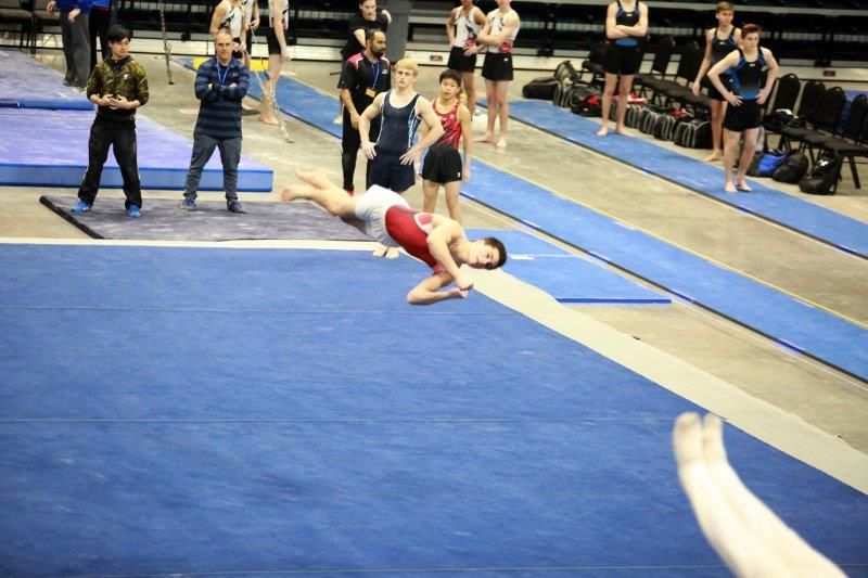 Eagle Gymnastics Academy Photos