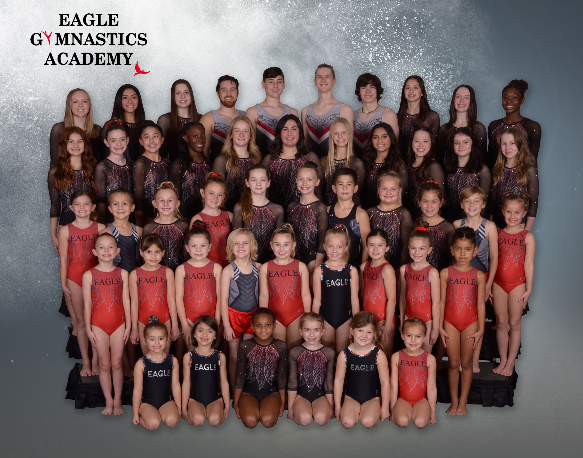 Eagle Gymnastics Academy Photos