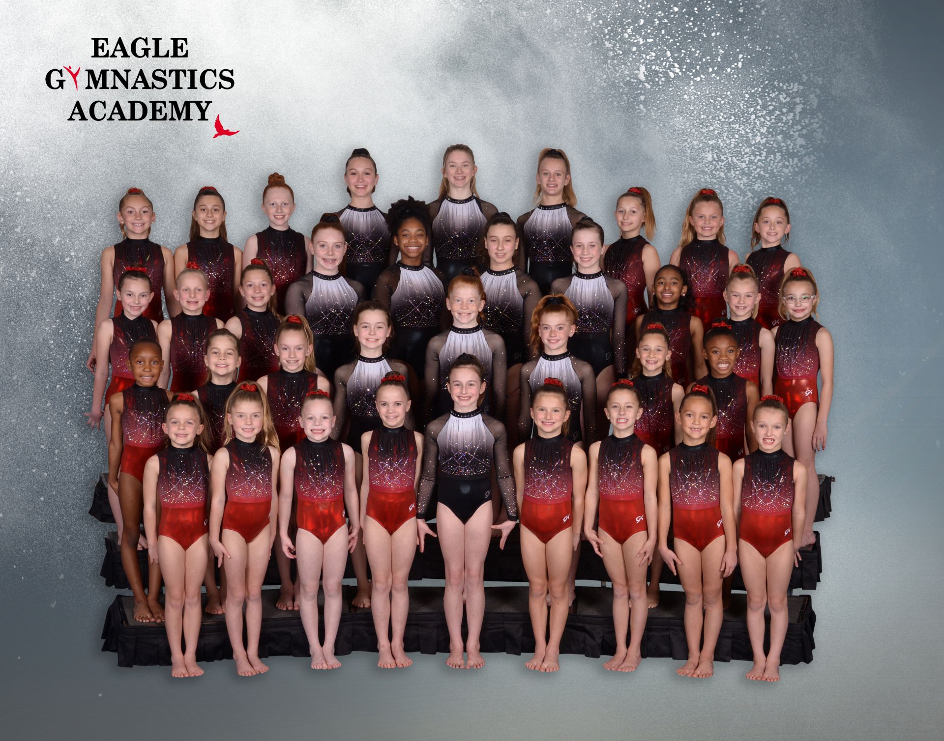 Eagle Gymnastics Academy Photos