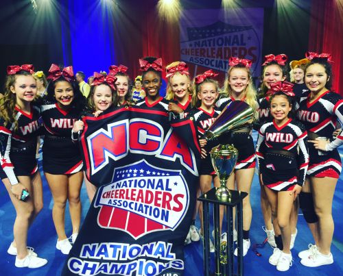 Wild About Cheer