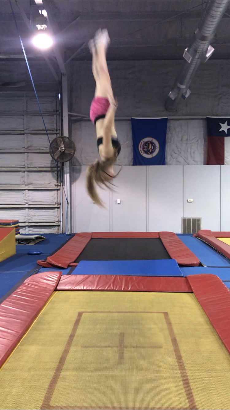 SEAL Gymnastics Inc. Photos