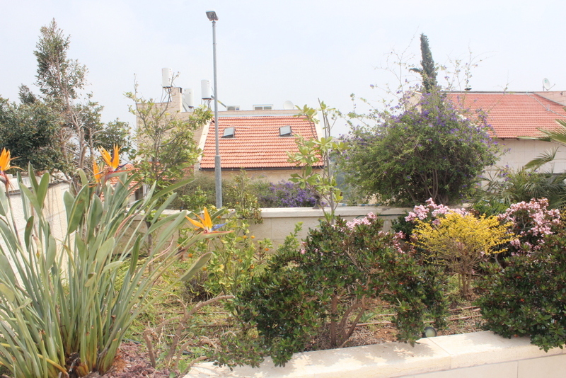 14771838a5abf1f7fcb21241695ba6e1