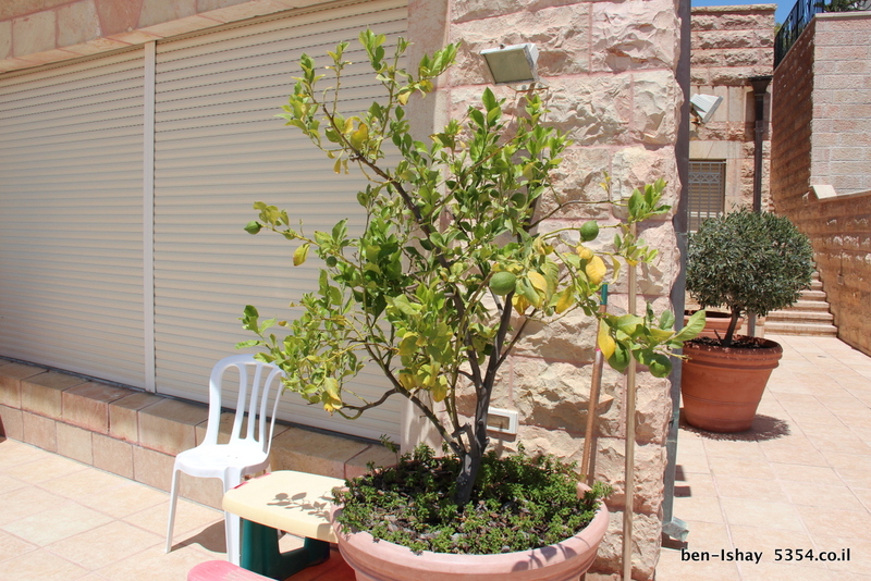 5dd105d113d1a93a5fc13a30c7fbc96c