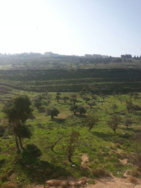 716cdb571715df99b30717274ca3ac49