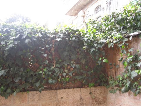 3337427bc126b9aa7226bd025b45c376