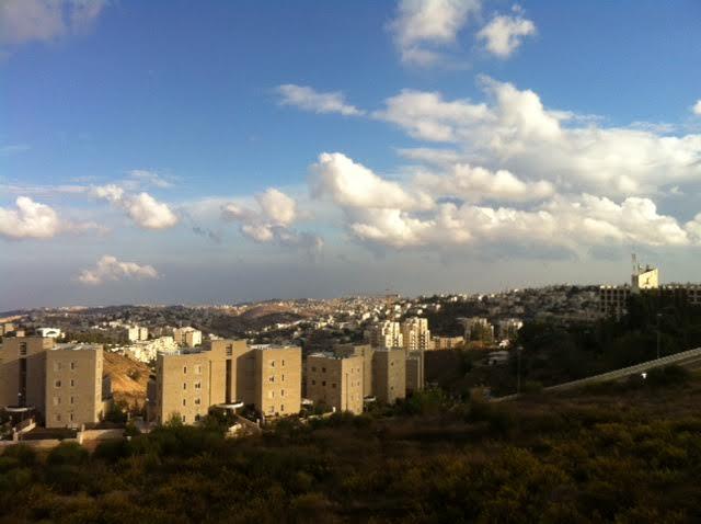 1e1b560805f2d7d0b0fc762ea8bd80ec