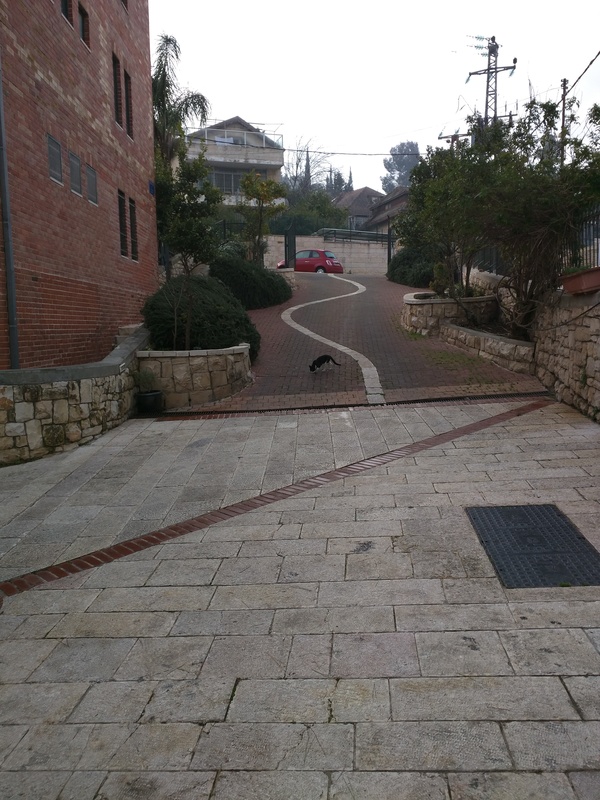 5a1060ed84a12d9e26e9a01e13d43b76