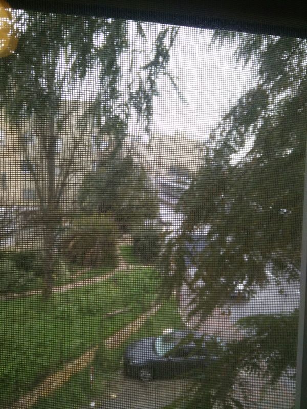 4e4f6989ff82884496bfb7f80e435caf