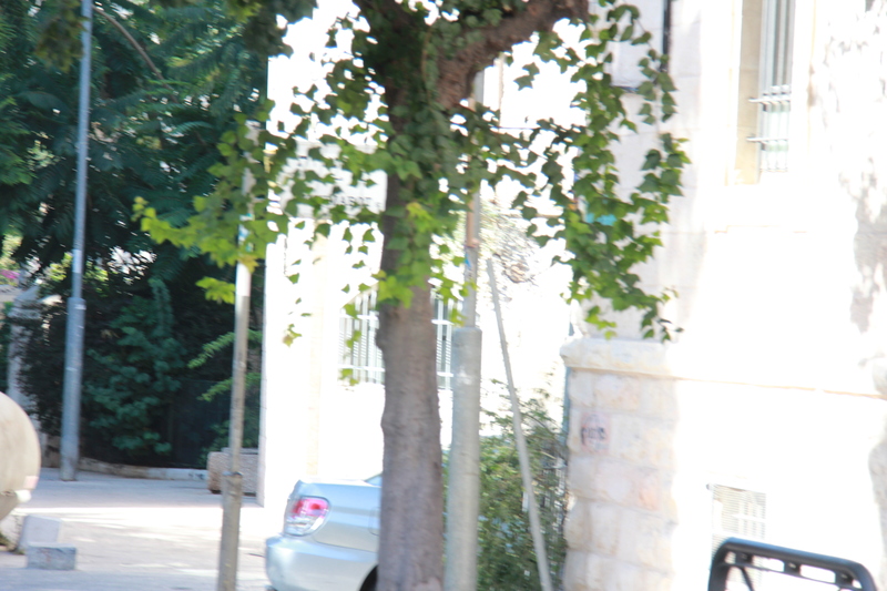 6918f420a6858d84935d1465c0cf0b19