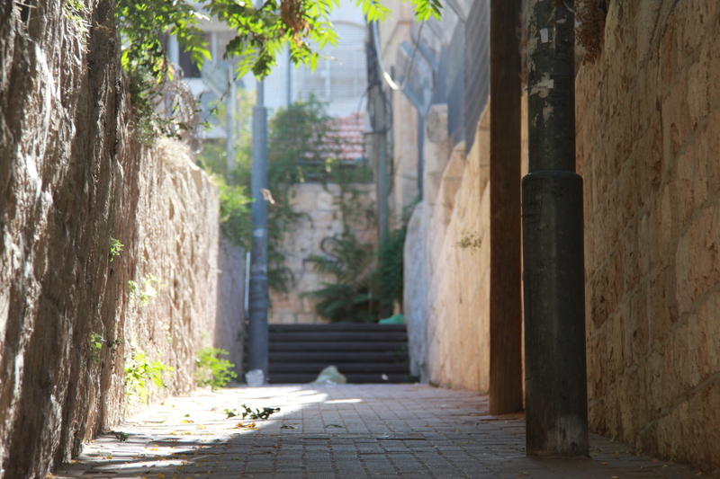 4789aed95a8ffdee50b8b643c8a890b3