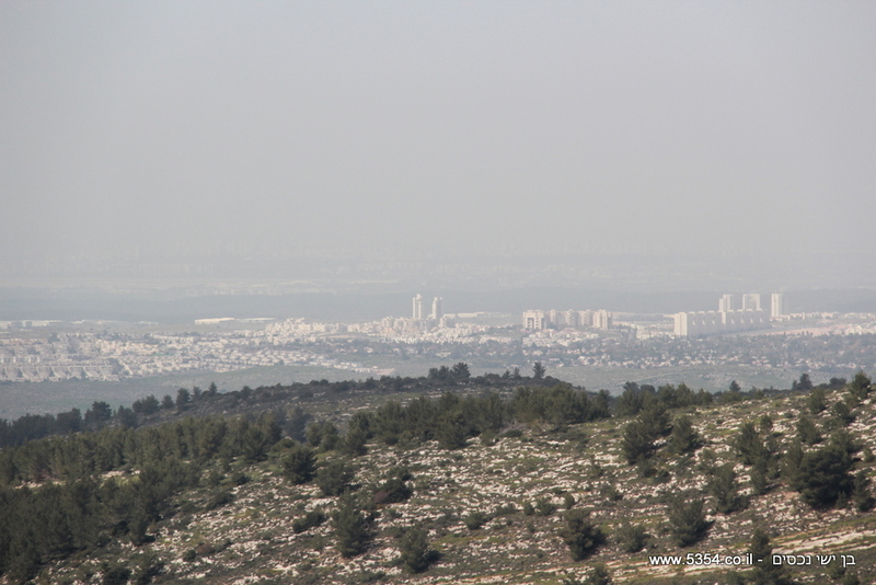 A75ff8a34af0ea0abc94b8cc2cee0dfa