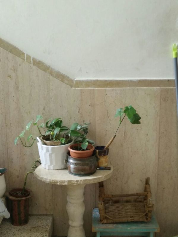 987c93bcf723e449dc88492c45a1149c