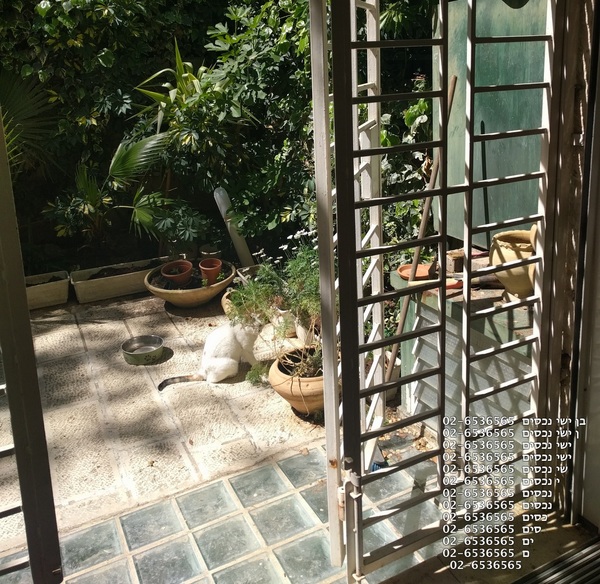 25fc58bd019adeff6e3bce3b80b94685