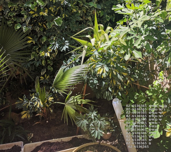 C65424b6f0d4808ab47b5d5ae53232da