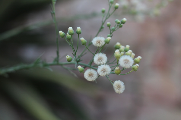 1b36863e5423009f1ac4f128d2bfa064