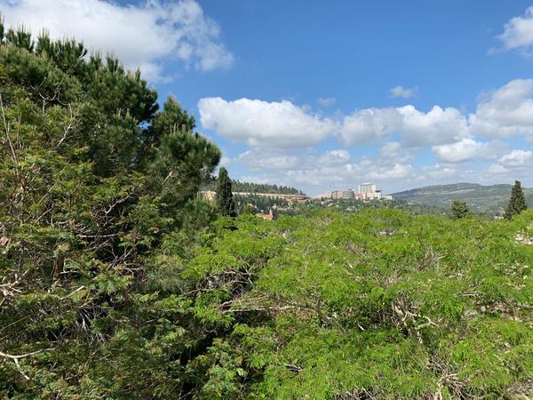 C0893311dd225531ce87f2d342ecfeba