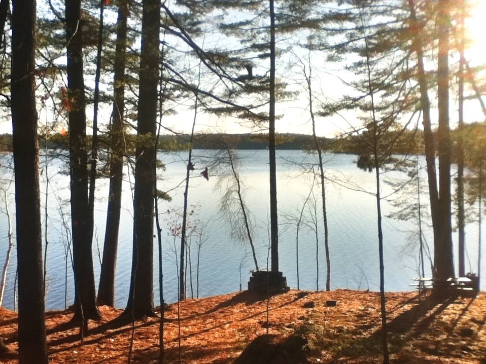 bear pond, maine