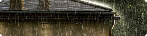 Track Title