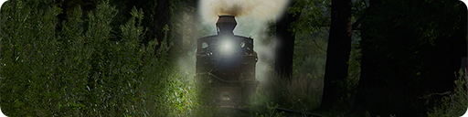 Track Title