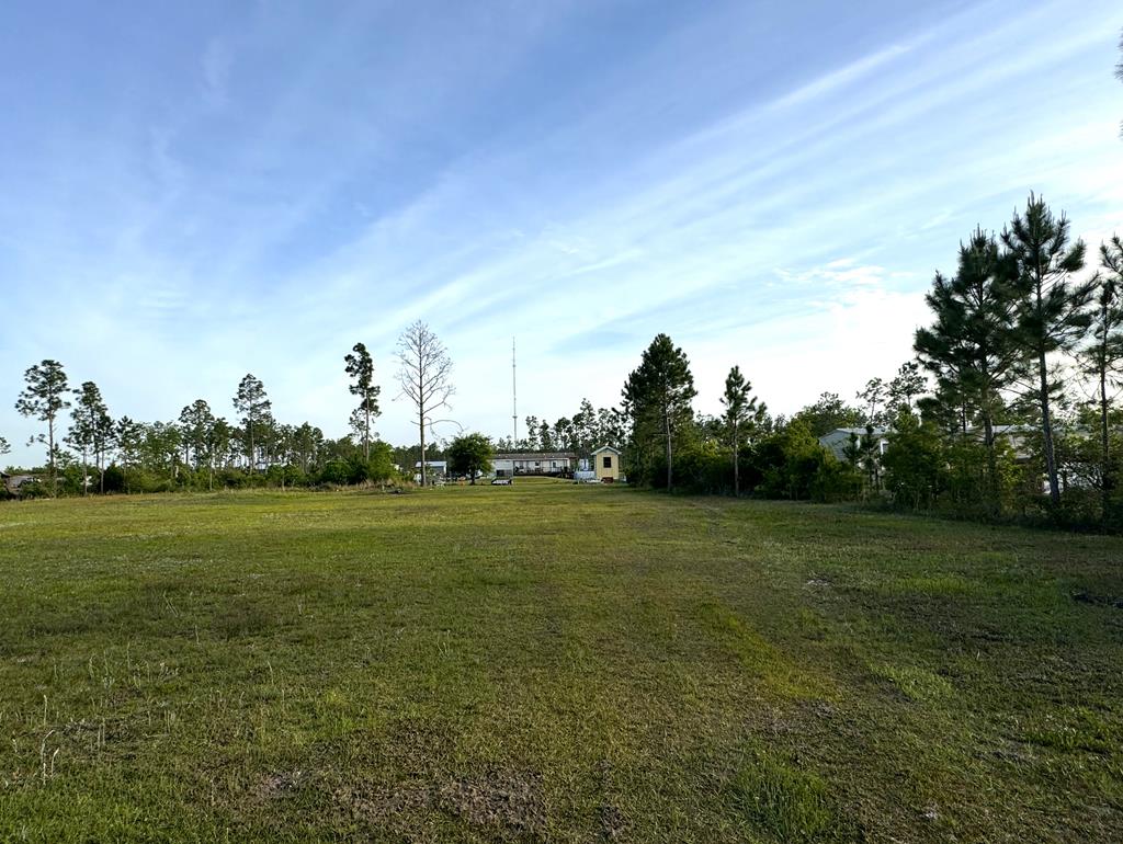 Land for sale in Wewahitchka MLS 317246