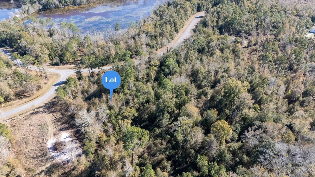 Photo of property for sale at 0 Seven Springs Dr Wewahitchka