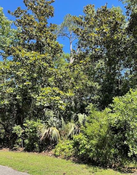 Photo of property for sale at 135 Water Oaks Way Apalachicola